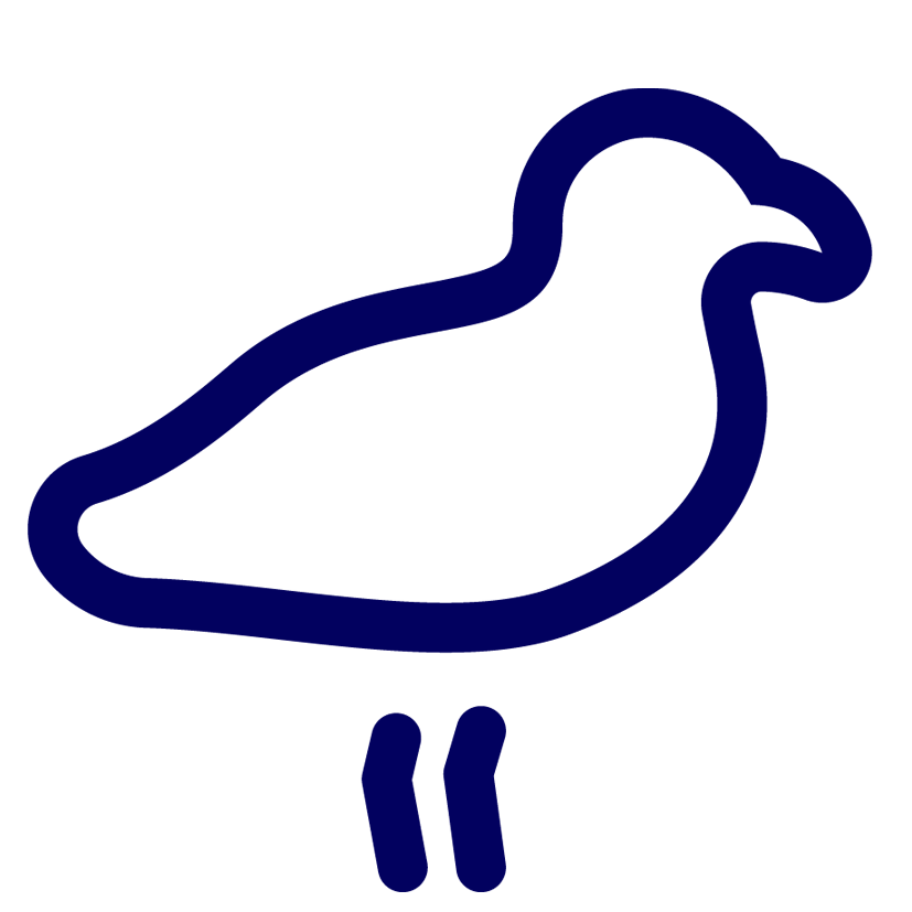 نمونه کارها